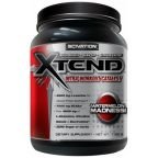 SciVation Xtend 1170 г.